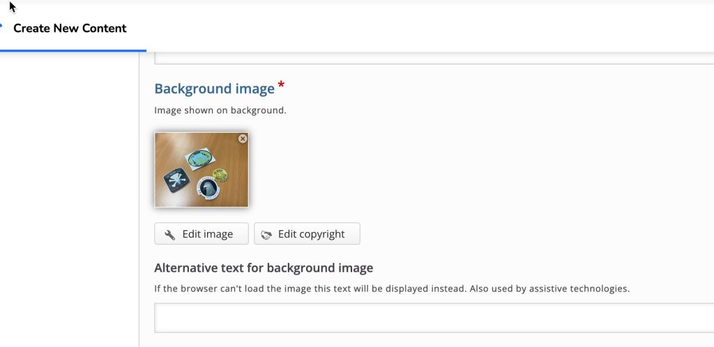 Screenshot of alt text and copyright prompts for image